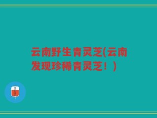 云南野生青灵芝(云南发现珍稀青灵芝！)