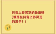 抖音上养灵芝的是谁呀(谁是在抖音上养灵芝的高手？)