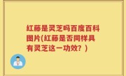 红藤是灵芝吗百度百科图片(红藤是否同样具有灵芝这一功效？)