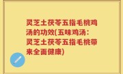 灵芝土茯苓五指毛桃鸡汤的功效(五味鸡汤：灵芝土茯苓五指毛桃带来全面健康)