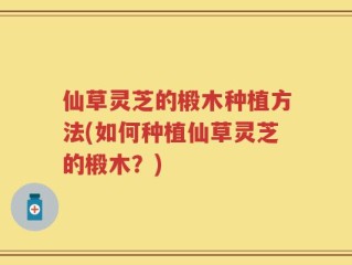 仙草灵芝的椴木种植方法(如何种植仙草灵芝的椴木？)