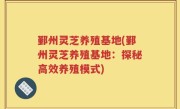 鄞州灵芝养殖基地(鄞州灵芝养殖基地：探秘高效养殖模式)