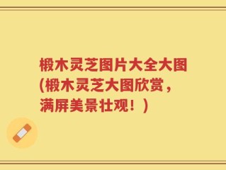 椴木灵芝图片大全大图(椴木灵芝大图欣赏，满屏美景壮观！)