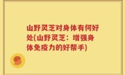 山野灵芝对身体有何好处(山野灵芝：增强身体免疫力的好帮手)