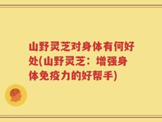 山野灵芝对身体有何好处(山野灵芝：增强身体免疫力的好帮手)