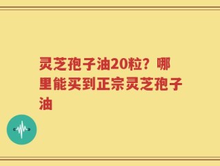 灵芝孢子油20粒？哪里能买到正宗灵芝孢子油