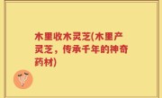 木里收木灵芝(木里产灵芝，传承千年的神奇药材)