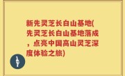 新先灵芝长白山基地(先灵芝长白山基地落成，点亮中国高山灵芝深度体验之旅)