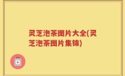 灵芝泡茶图片大全(灵芝泡茶图片集锦)