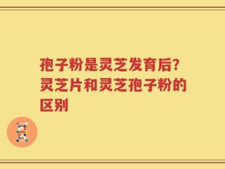 孢子粉是灵芝发育后？灵芝片和灵芝孢子粉的区别