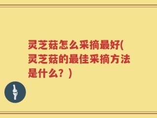 灵芝菇怎么采摘最好(灵芝菇的最佳采摘方法是什么？)