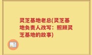 灵芝基地老总(灵芝基地负责人改写：照顾灵芝基地的故事)