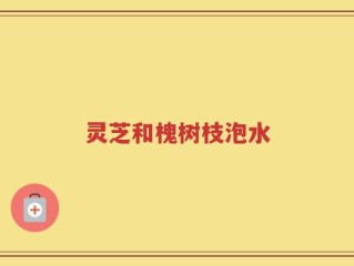 灵芝和槐树枝泡水