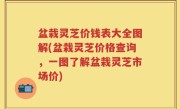 盆栽灵芝价钱表大全图解(盆栽灵芝价格查询，一图了解盆栽灵芝市场价)