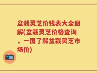 盆栽灵芝价钱表大全图解(盆栽灵芝价格查询，一图了解盆栽灵芝市场价)