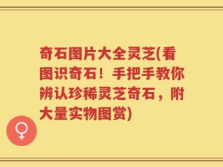 奇石图片大全灵芝(看图识奇石！手把手教你辨认珍稀灵芝奇石，附大量实物图赏)