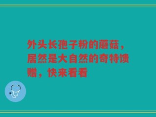 外头长孢子粉的蘑菇，居然是大自然的奇特馈赠，快来看看