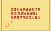 灵芝对皮肤好处和功效图片(灵芝皮肤好处！发现其功效的惊人图片)