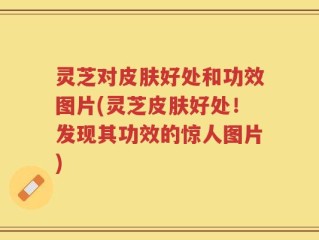 灵芝对皮肤好处和功效图片(灵芝皮肤好处！发现其功效的惊人图片)