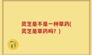 灵芝是不是一种草药(灵芝是草药吗？)