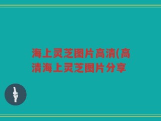 海上灵芝图片高清(高清海上灵芝图片分享