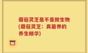 蘑菇灵芝是不是微生物(蘑菇灵芝：真菌界的养生精华)