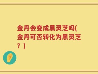 金丹会变成黑灵芝吗(金丹可否转化为黑灵芝？)