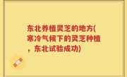 东北养植灵芝的地方(寒冷气候下的灵芝种植，东北试验成功)
