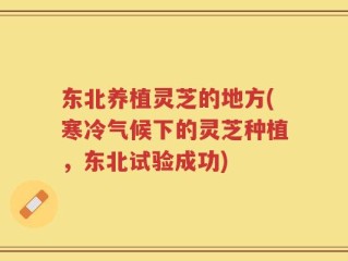 东北养植灵芝的地方(寒冷气候下的灵芝种植，东北试验成功)