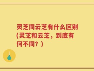 灵芝同云芝有什么区别(灵芝和云芝，到底有何不同？)