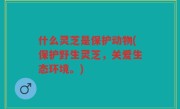 什么灵芝是保护动物(保护野生灵芝，关爱生态环境。)
