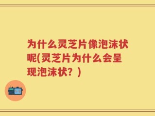 为什么灵芝片像泡沫状呢(灵芝片为什么会呈现泡沫状？)