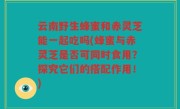 云南野生蜂蜜和赤灵芝能一起吃吗(蜂蜜与赤灵芝是否可同时食用？探究它们的搭配作用！)