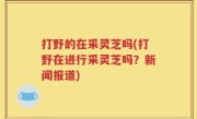打野的在采灵芝吗(打野在进行采灵芝吗？新闻报道)