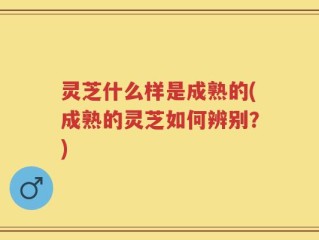 灵芝什么样是成熟的(成熟的灵芝如何辨别？)