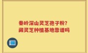 秦岭深山灵芝孢子粉？藏灵芝种植基地靠谱吗