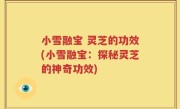 小雪融宝 灵芝的功效(小雪融宝：探秘灵芝的神奇功效)