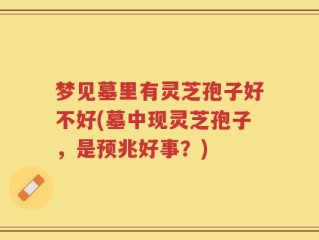 梦见墓里有灵芝孢子好不好(墓中现灵芝孢子，是预兆好事？)