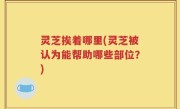 灵芝挨着哪里(灵芝被认为能帮助哪些部位？)
