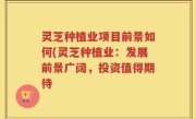 灵芝种植业项目前景如何(灵芝种植业：发展前景广阔，投资值得期待