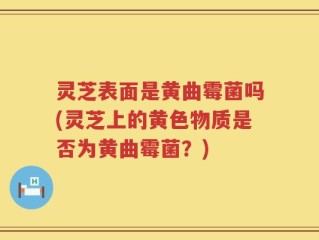 灵芝表面是黄曲霉菌吗(灵芝上的黄色物质是否为黄曲霉菌？)
