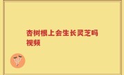 杏树根上会生长灵芝吗视频