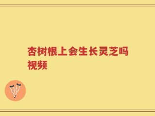 杏树根上会生长灵芝吗视频