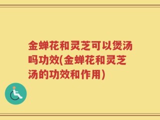 金蝉花和灵芝可以煲汤吗功效(金蝉花和灵芝汤的功效和作用)