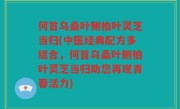 何首乌桑叶侧柏叶灵芝当归(中医经典配方多组合，何首乌桑叶侧柏叶灵芝当归助您再现青春活力)