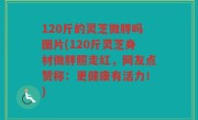 120斤的灵芝微胖吗图片(120斤灵芝身材微胖照走红，网友点赞称：更健康有活力！)