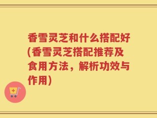 香雪灵芝和什么搭配好(香雪灵芝搭配推荐及食用方法，解析功效与作用)