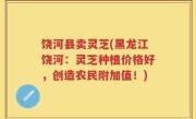 饶河县卖灵芝(黑龙江饶河：灵芝种植价格好，创造农民附加值！)