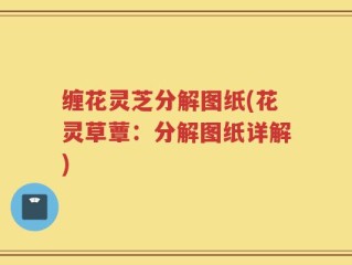 缠花灵芝分解图纸(花灵草蕈：分解图纸详解)