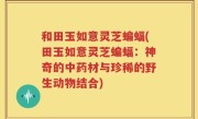和田玉如意灵芝蝙蝠(田玉如意灵芝蝙蝠：神奇的中药材与珍稀的野生动物结合)